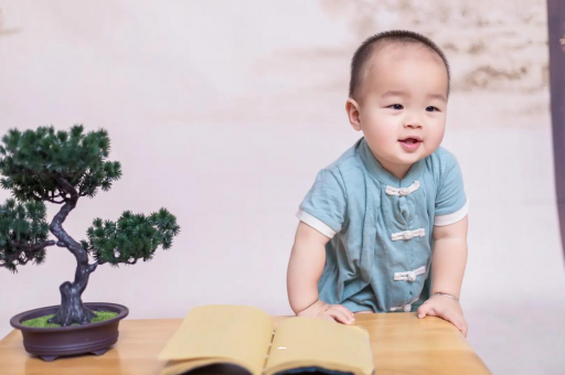 百色可爱的企鹅宝宝